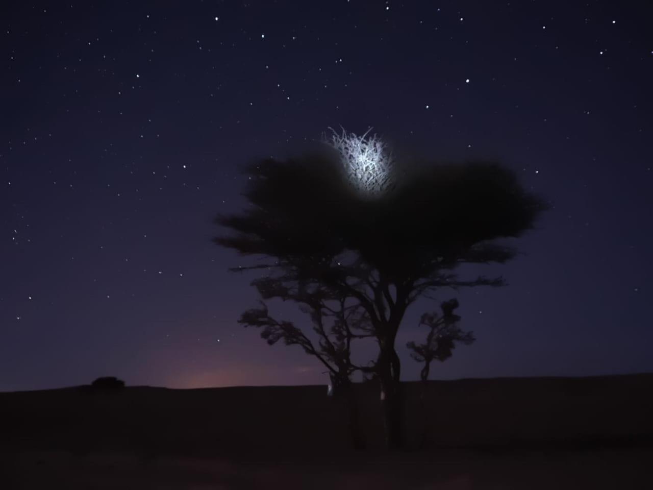 Tuareg Luxury Camp Hotel Merzouga Exterior photo